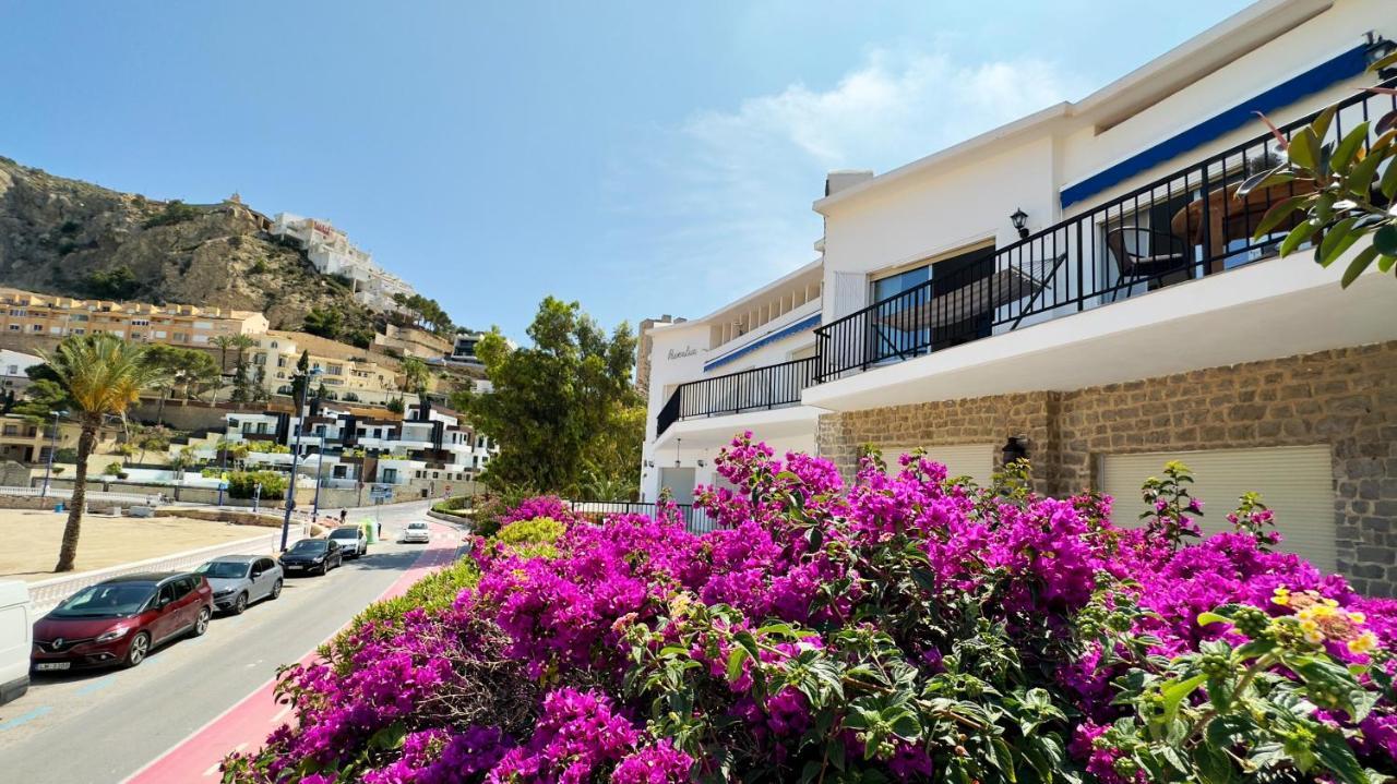 Parralue Beach Front Home 베니돔 외부 사진